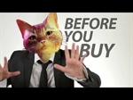 Stray - Before You Buy