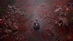 Silent Hill F Review - Spirited Away